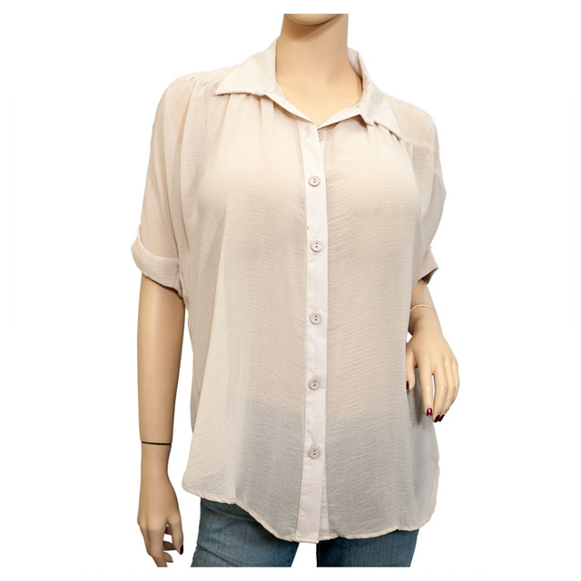 Plus Size Short Sleeve Sheer Blouse Beige Photo 1