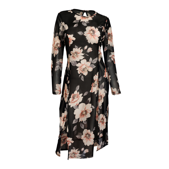 Plus Size Sheer Floral Print Mesh Evening Party Maxi Dress Black Photo 1