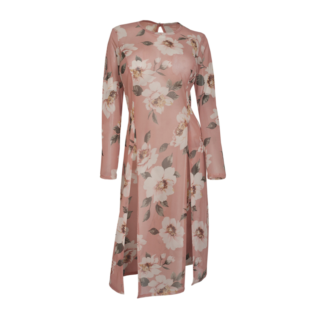 Plus Size Sheer Floral Print Mesh Evening Party Maxi Dress Pink Photo 1