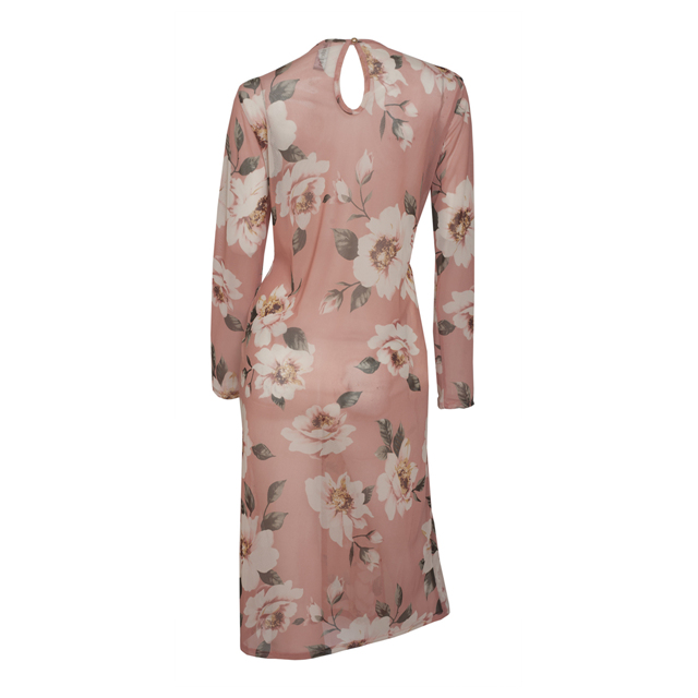 Plus Size Sheer Floral Print Mesh Evening Party Maxi Dress Pink Photo 2