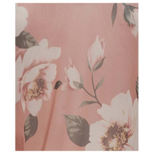 Plus Size Sheer Floral Print Mesh Evening Party Maxi Dress Pink Photo 2