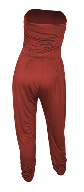 Plus Size Jumpsuit Brick Photo 2