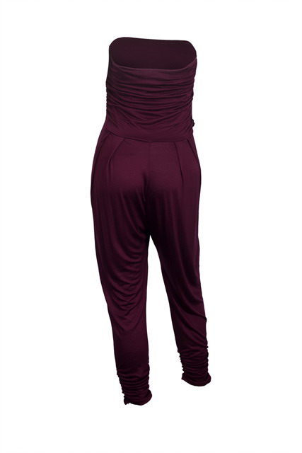 Plus Size Jumpsuit Wine Photo 2