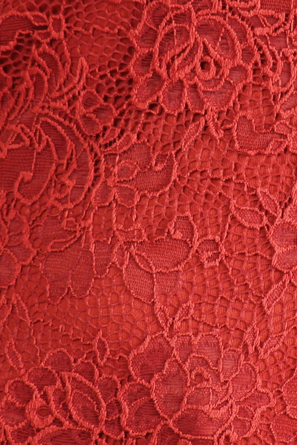 Plus Size Off the Shoulder Lace Top Rust Photo 2