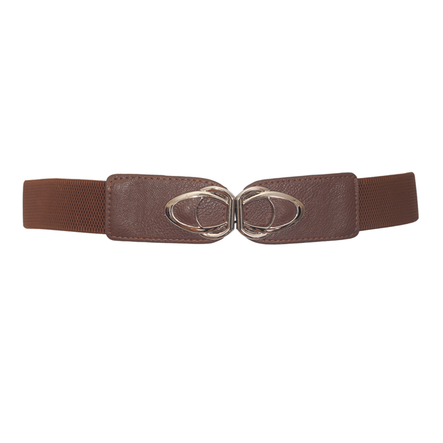 Plus size SIlver Buckle Elastic Cinch Belt Brown Photo 1