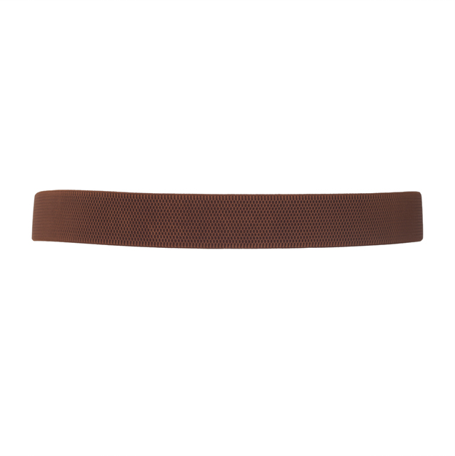 Plus size SIlver Buckle Elastic Cinch Belt Brown Photo 3