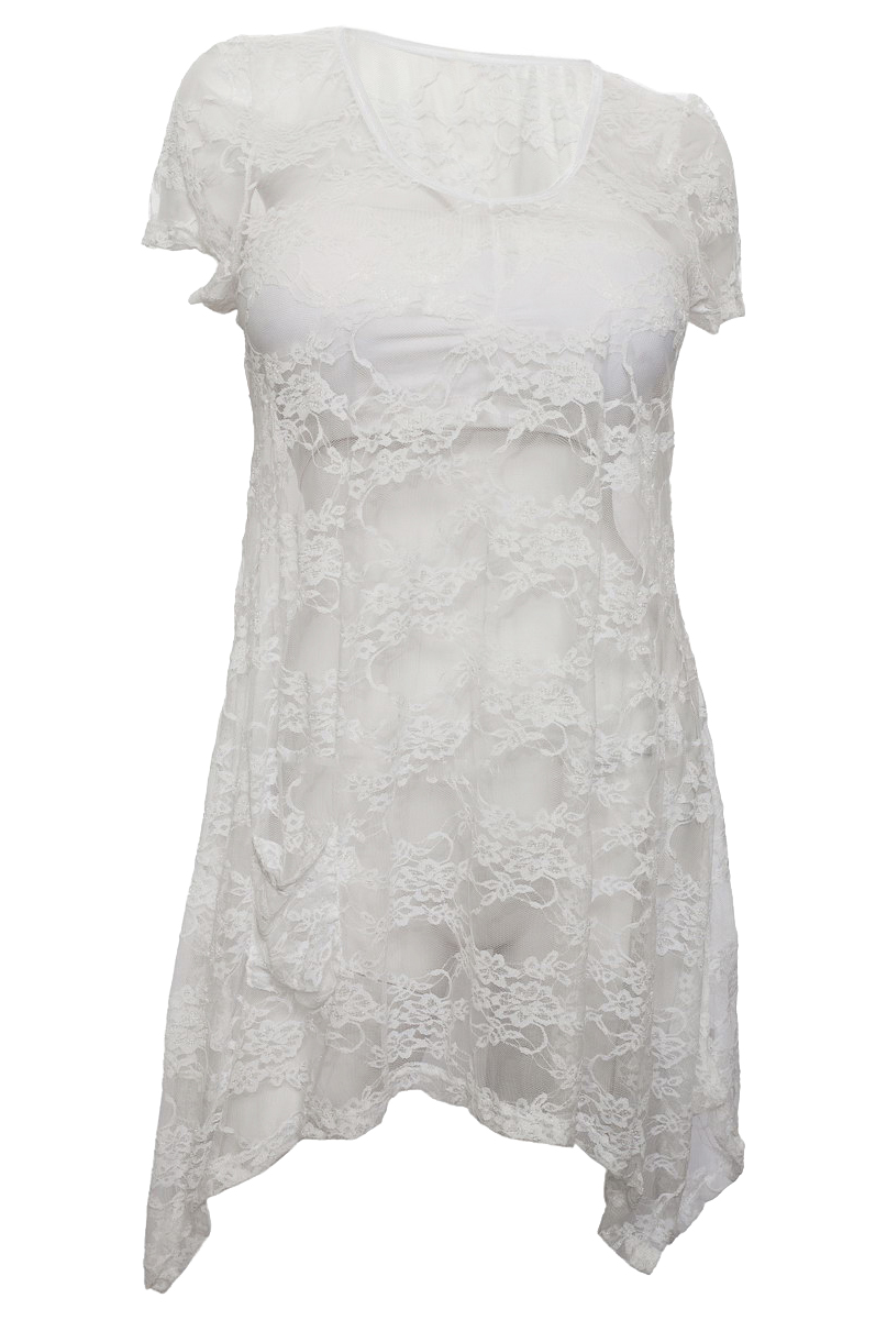 Plus size Sheer Floral Lace Top White | eVogues Apparel