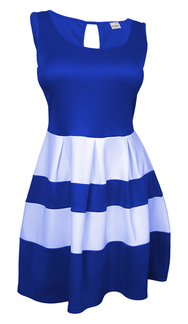 Plus size Color Block Flare Dress Blue White Photo 1