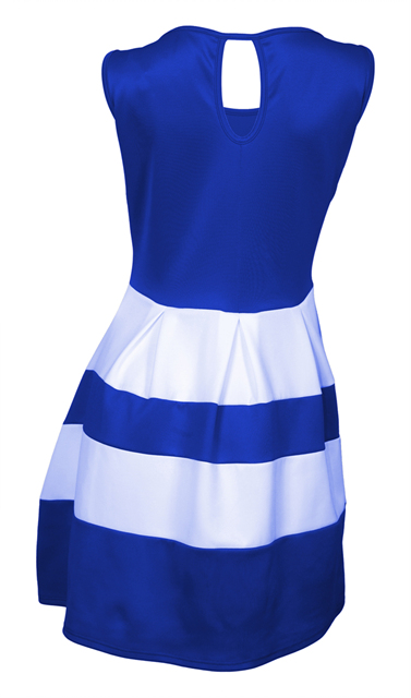 Plus size Color Block Flare Dress Blue White Photo 3
